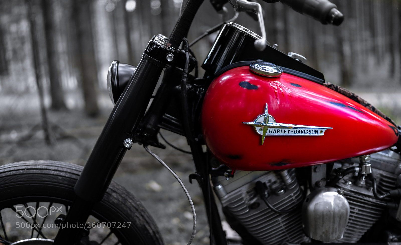 Sony a7 II sample photo. Foreign body in the photography