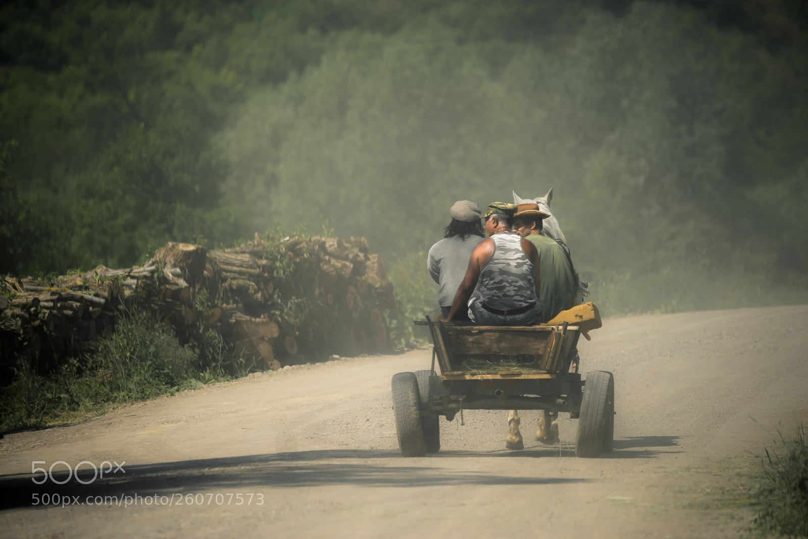 Nikon D610 sample photo. On the road photography