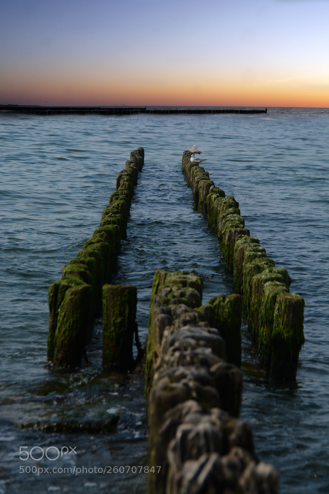 Nikon D7100 sample photo. Baltic sea photography