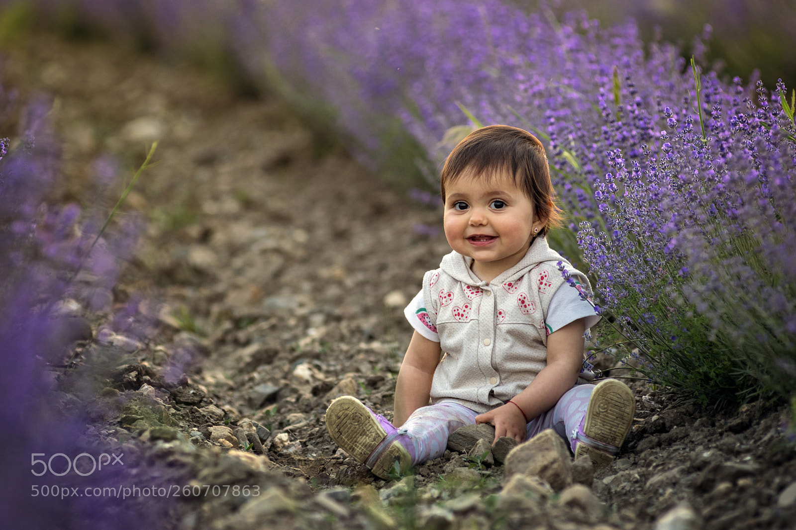 Nikon D5300 sample photo. Lavender smiles photography