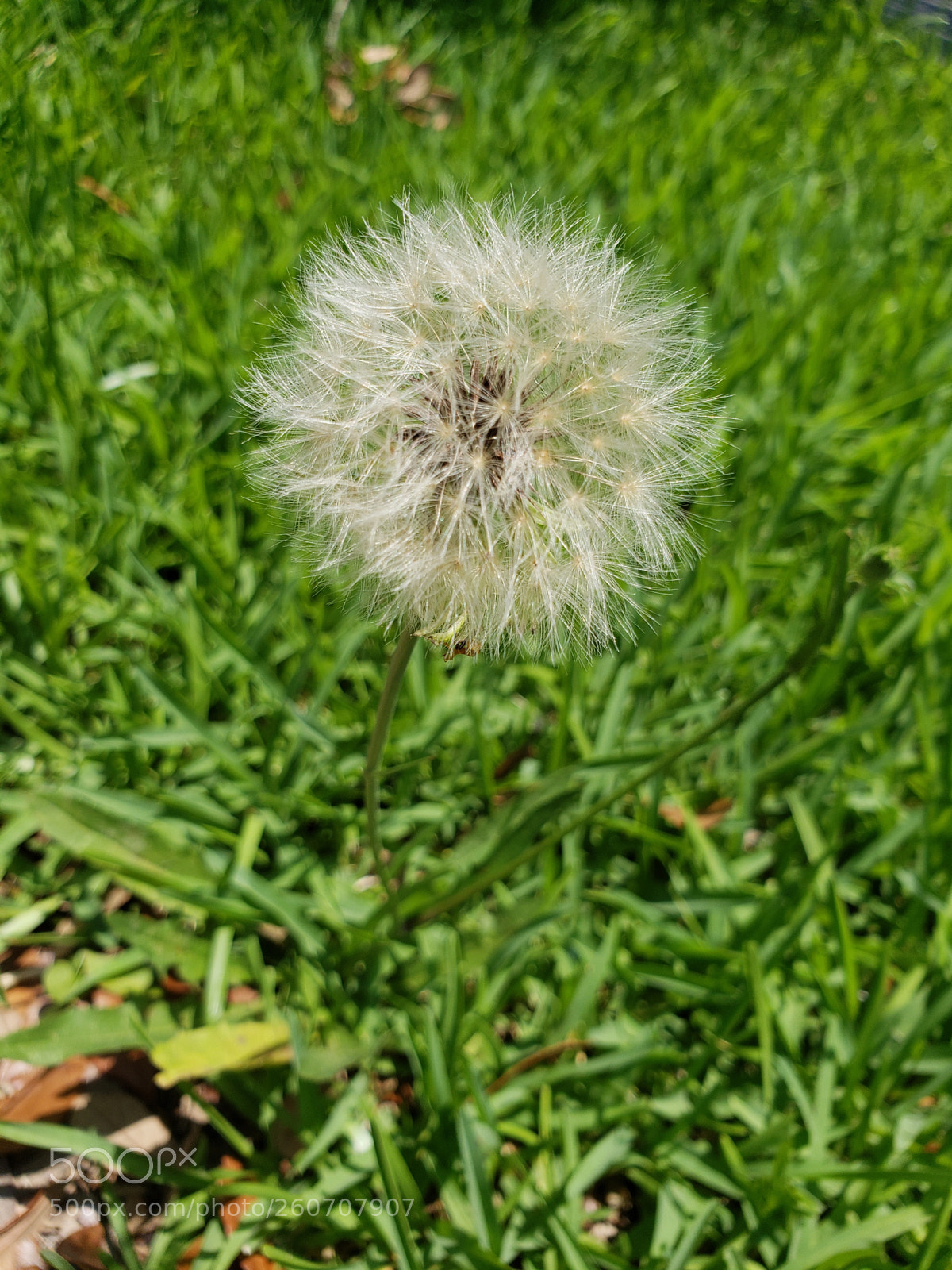 Samsung Galaxy S9 sample photo. Untitled photography