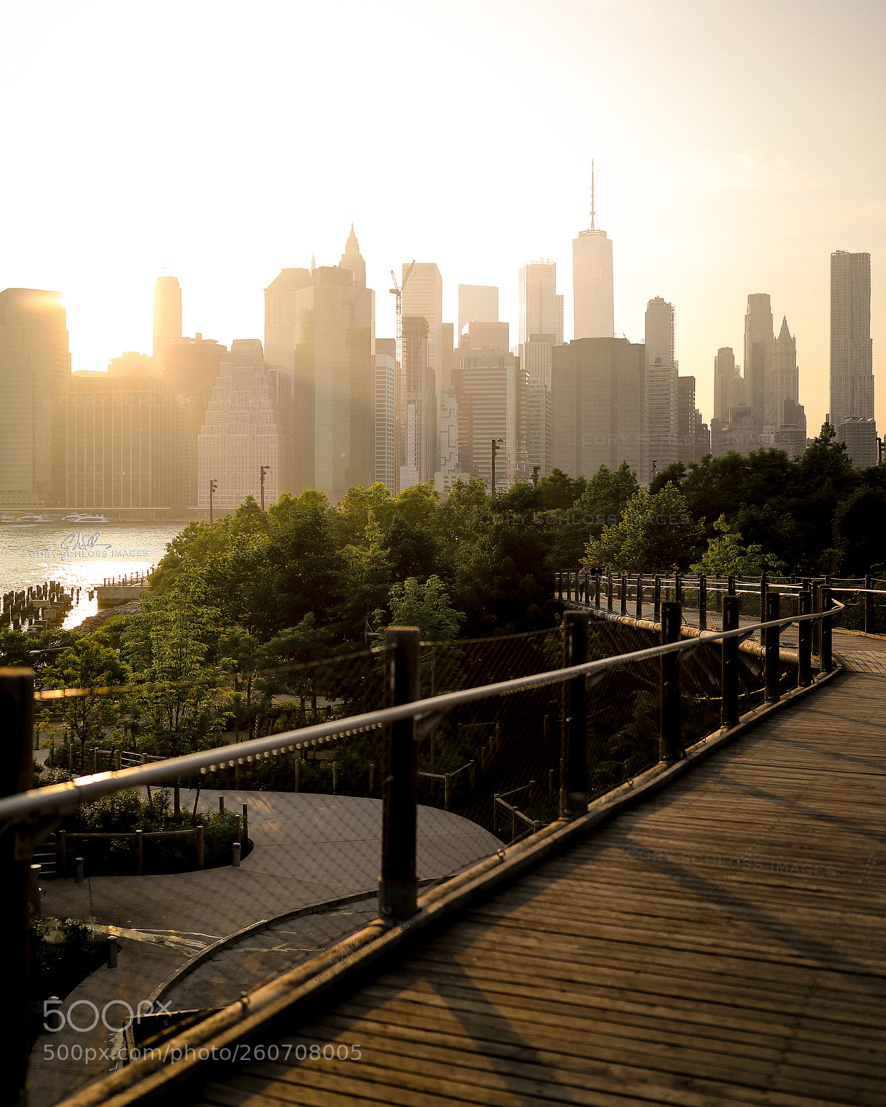 Canon EOS 5D Mark IV sample photo. Golden rays | nyc photography