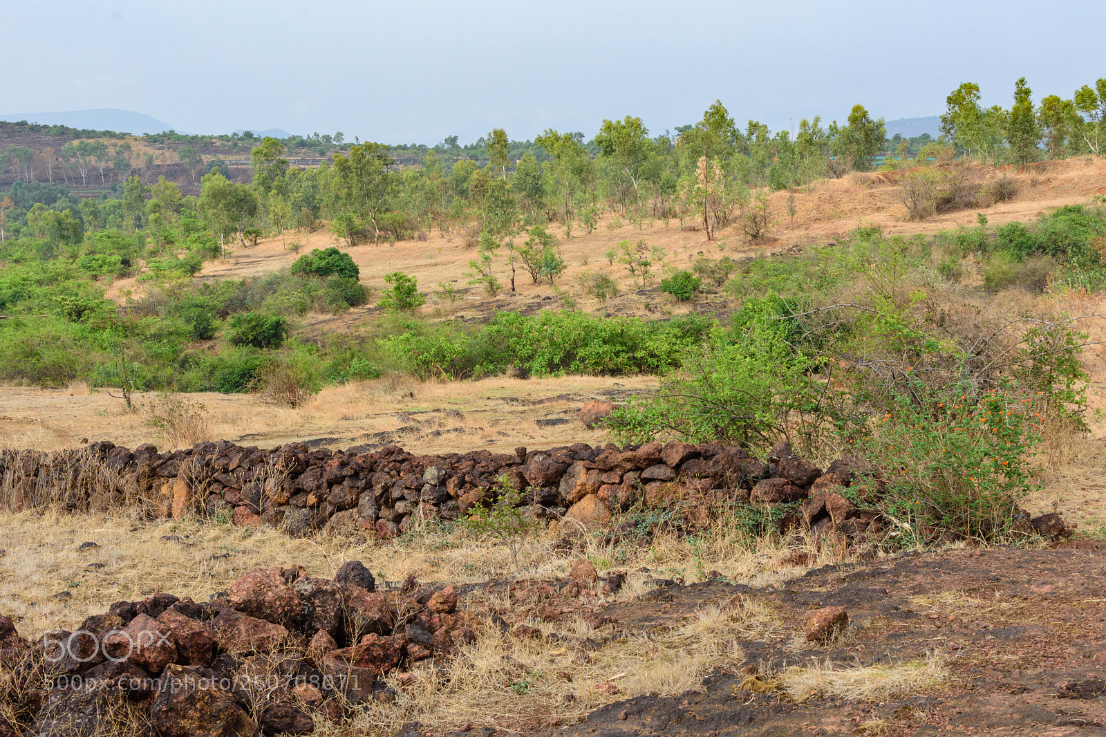 Nikon D7200 sample photo. Untitled photography