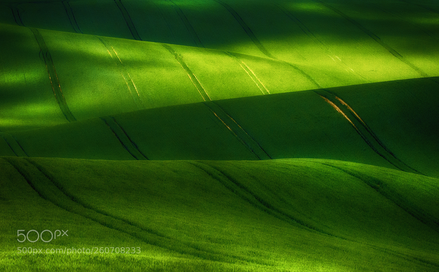Nikon D610 sample photo. Field photography