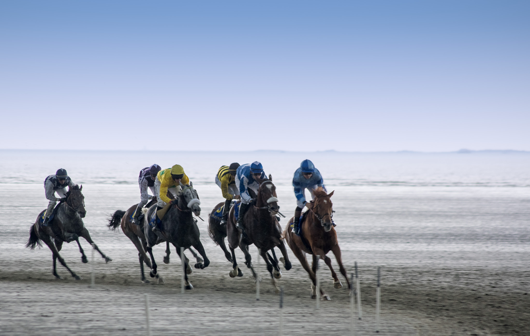 Pentax K-3 II sample photo. Courses sur l'hippodrome de plestin photography