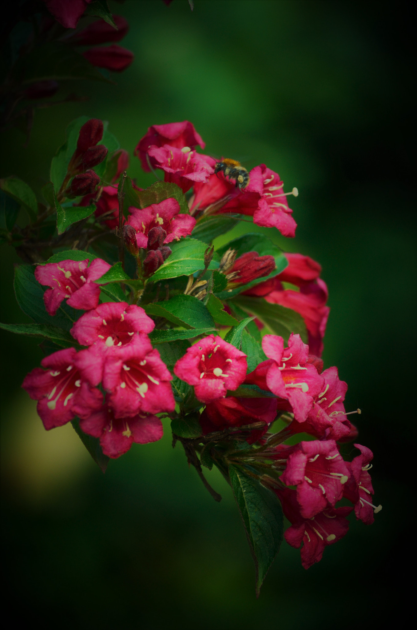 Nikon D5100 sample photo. Full colours photography