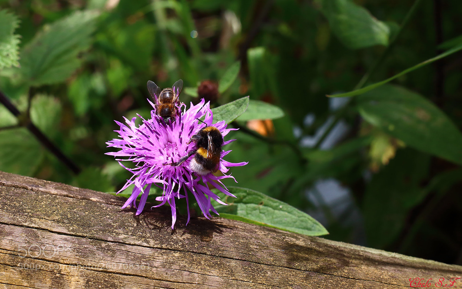 Canon EOS 6D sample photo. Untitled photography