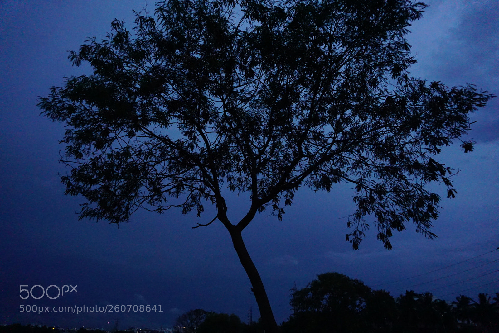 Sony a6000 sample photo. Under the sky photography