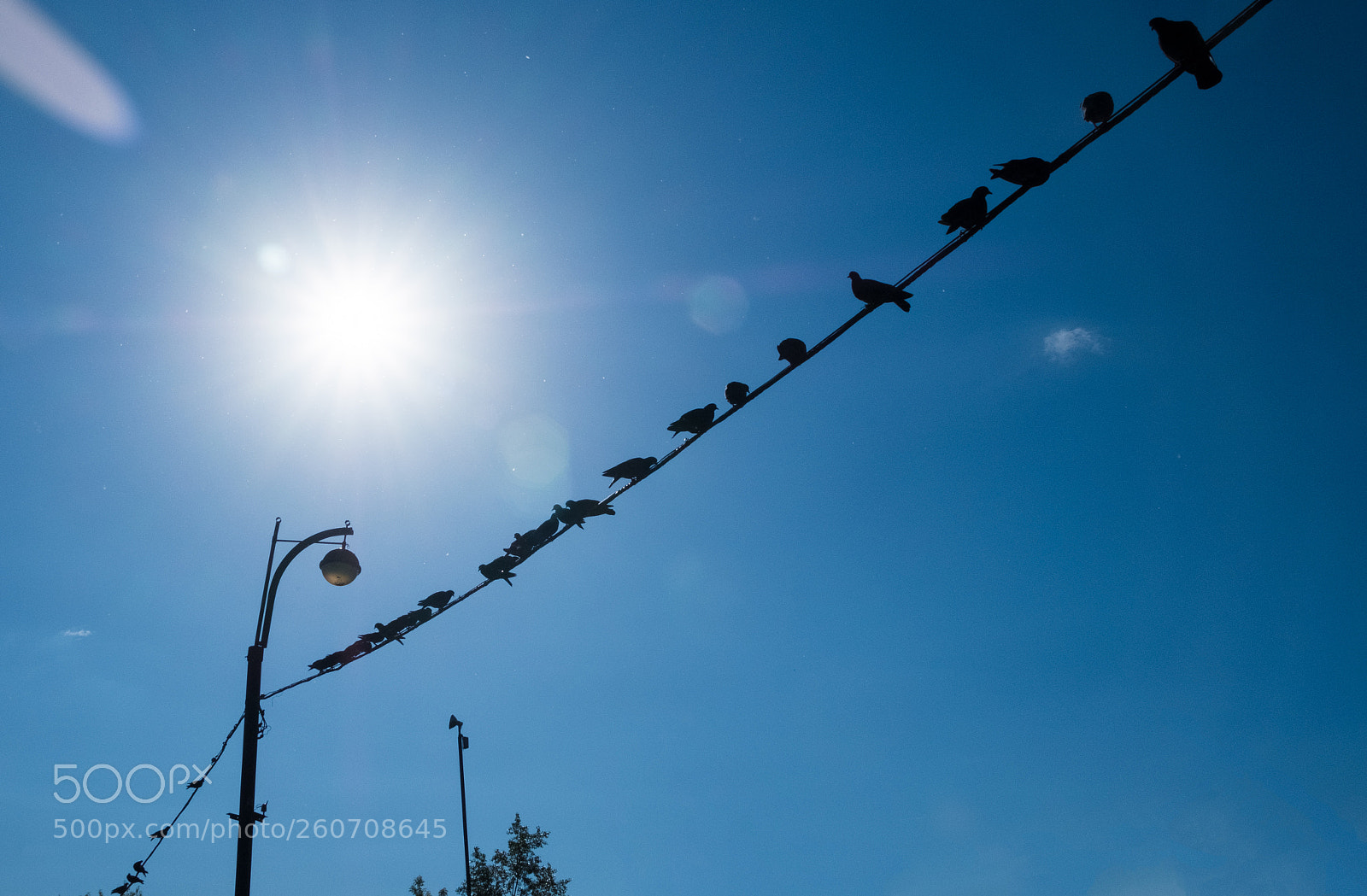Fujifilm X-T20 sample photo. Line of attack photography