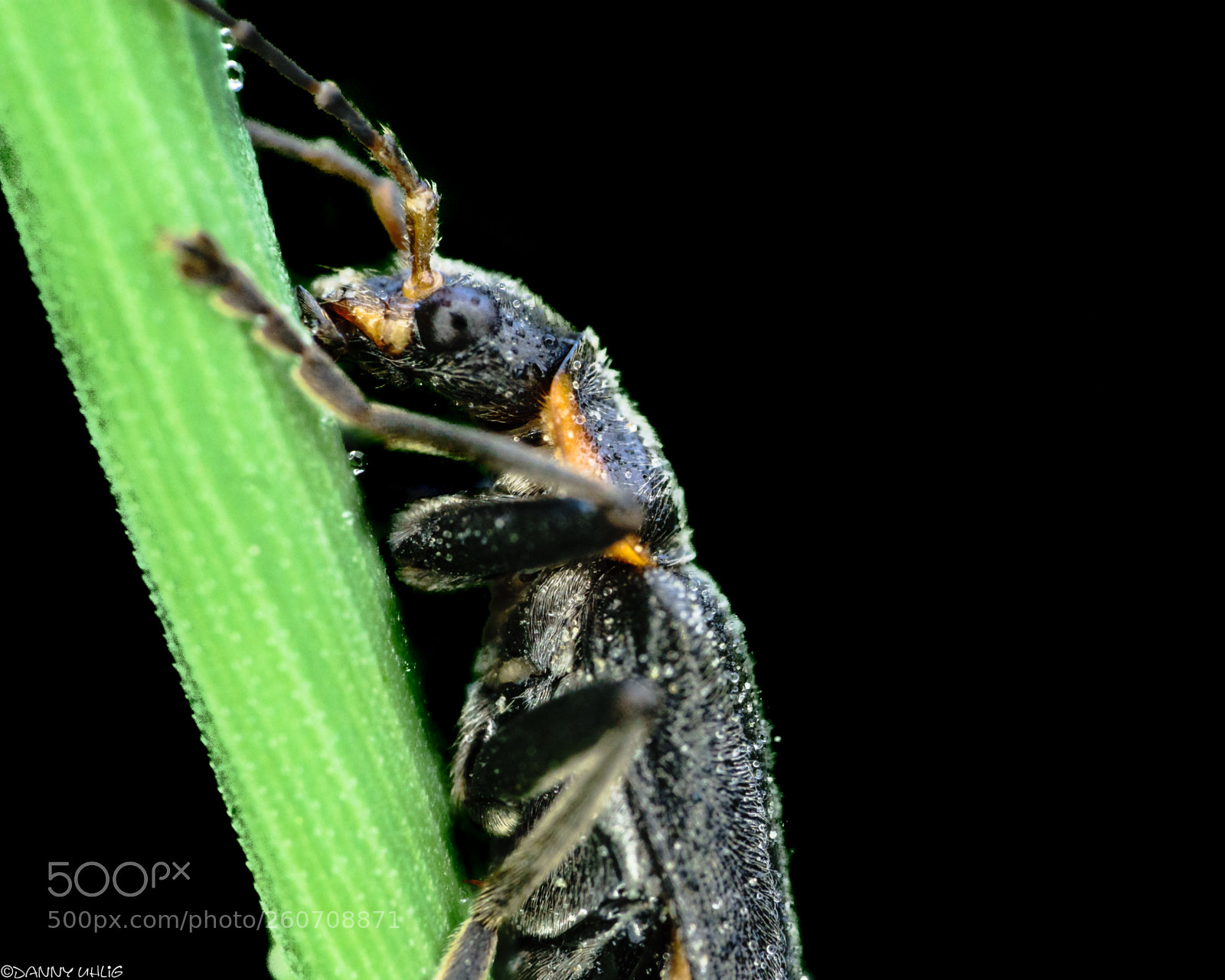 Sony a6300 sample photo. Dsc04863.jpg photography