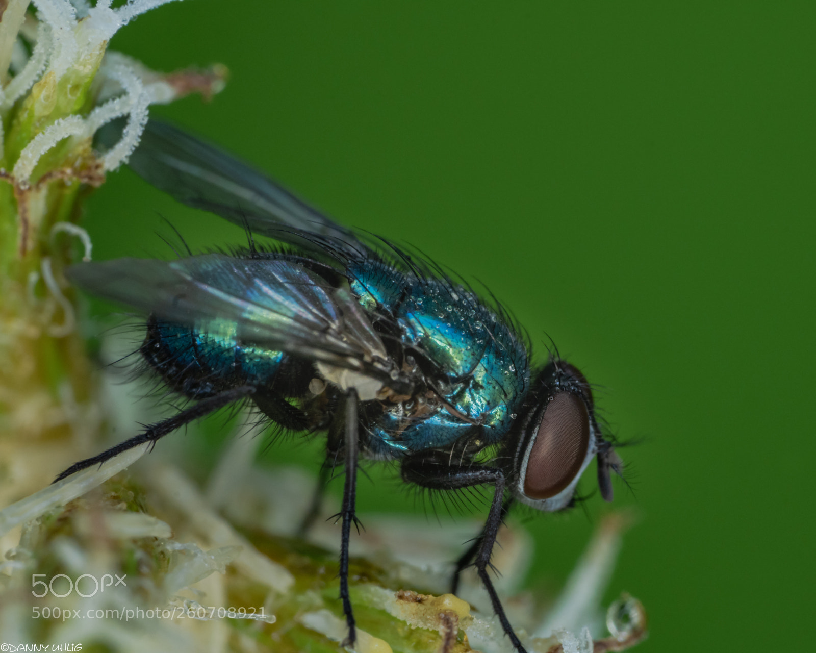 Sony a6300 sample photo. Dsc04912.jpg photography