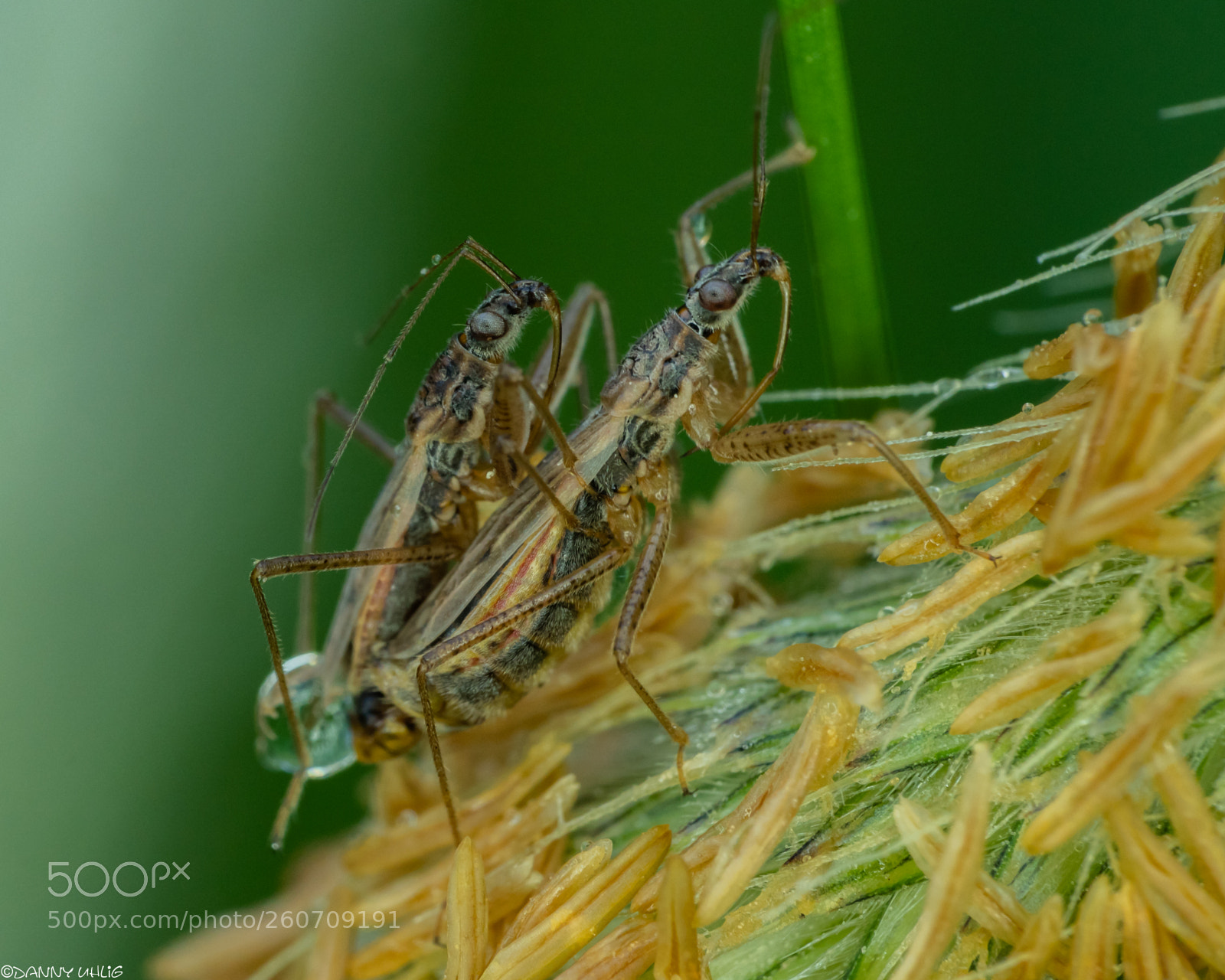 Sony a6300 sample photo. Dsc05056.jpg photography