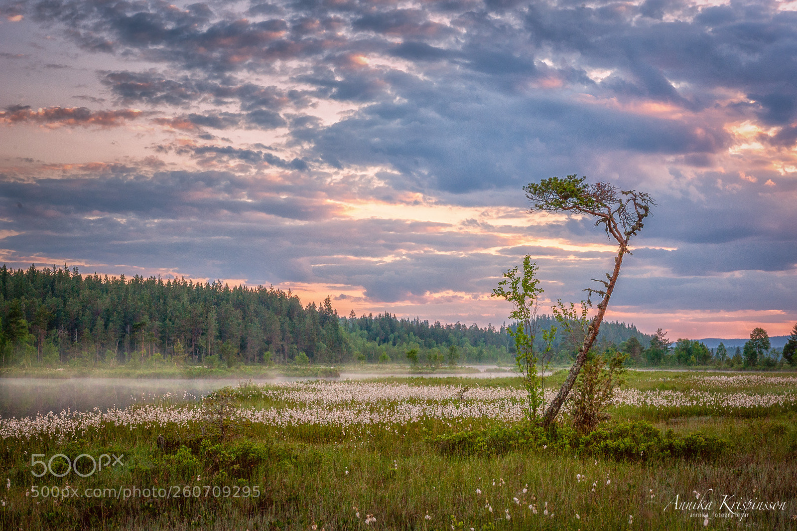 Nikon D700 sample photo. Sunrise in the swedish photography