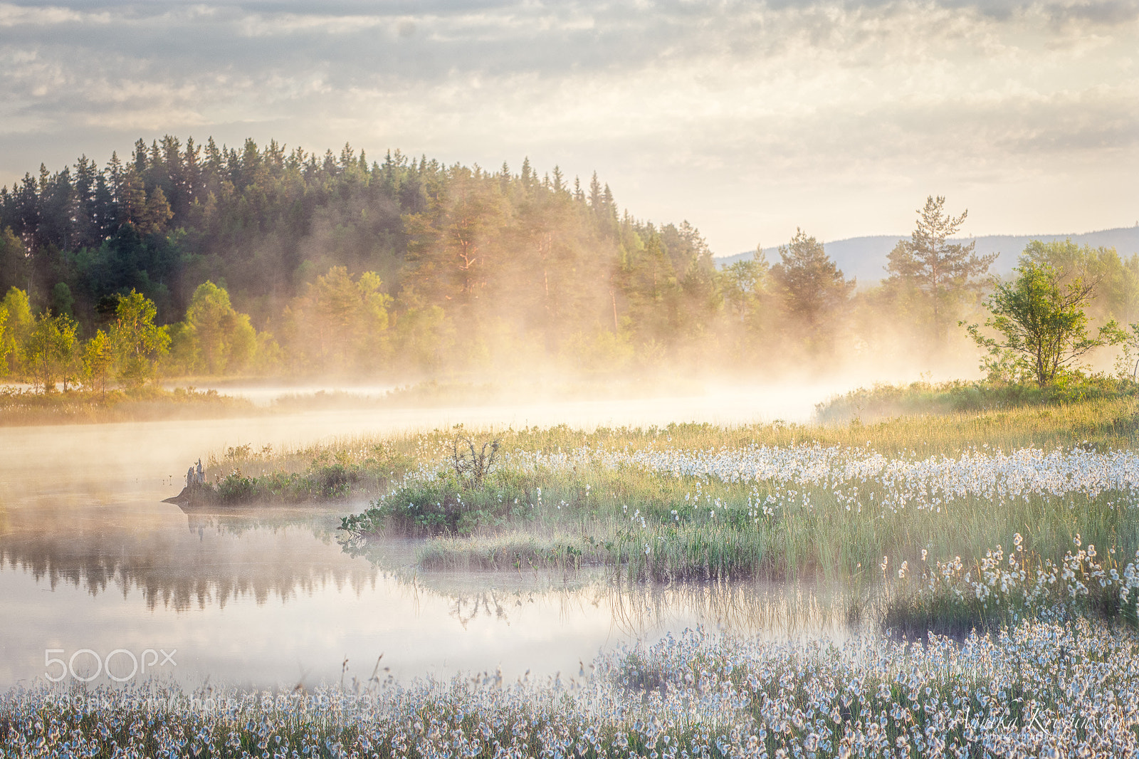 Nikon D7200 sample photo. Sunrise in the swedish photography