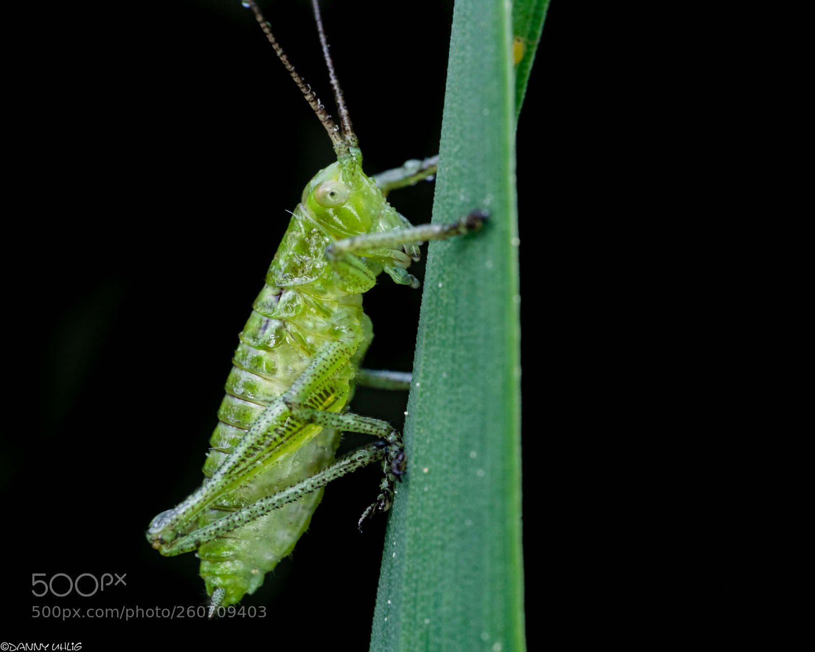 Sony a6300 sample photo. Dsc05066.jpg photography