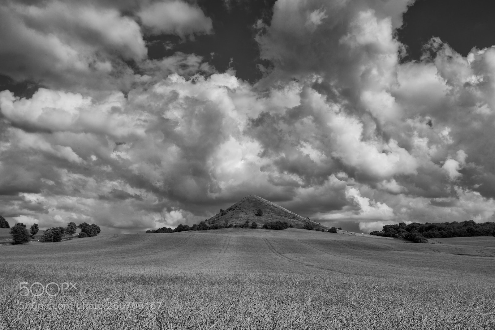 Canon EOS 5D Mark II sample photo. In czech bohemian highlands photography