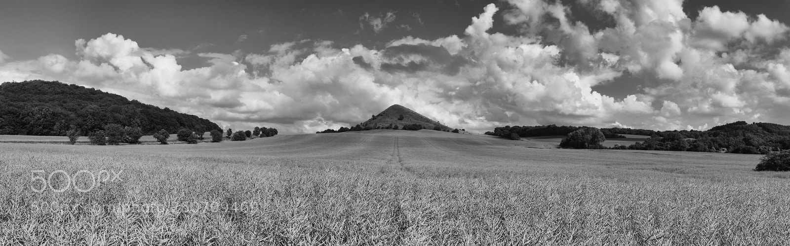 Canon EOS 5D Mark II sample photo. View on cicov hill photography