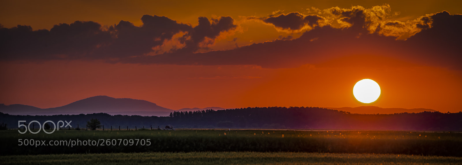 Nikon D610 sample photo. Sunset photography