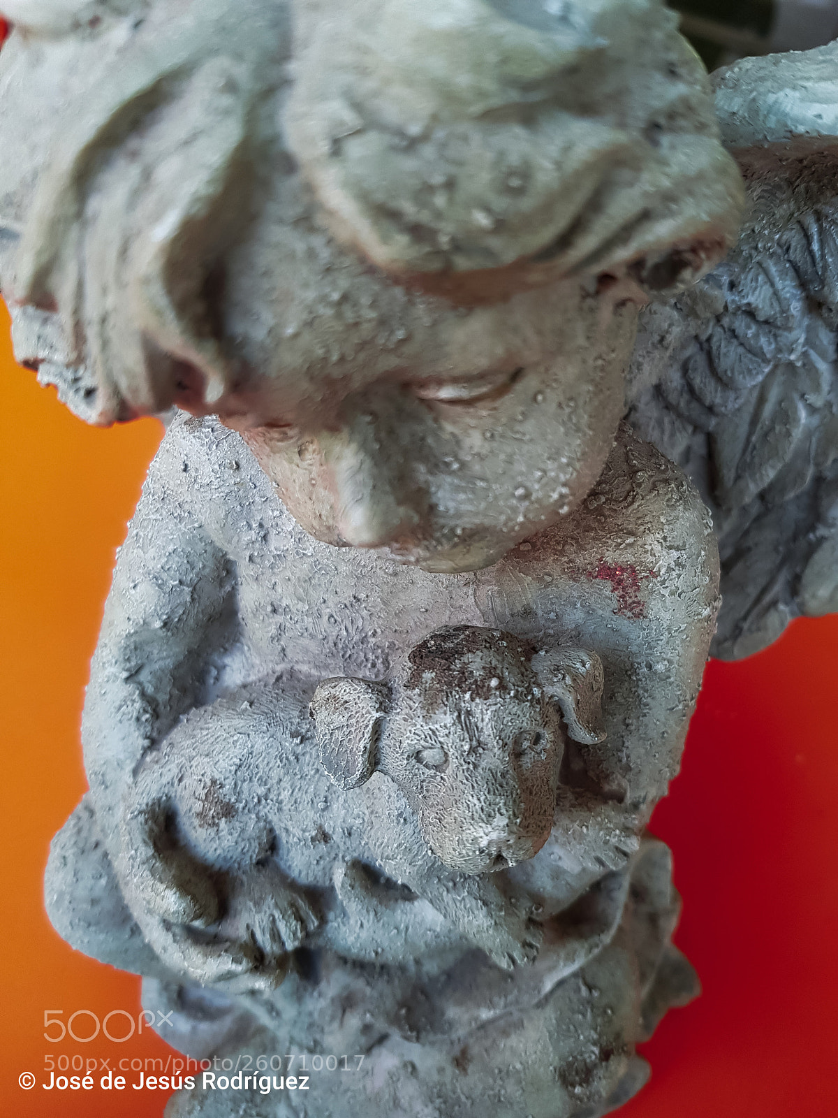 Samsung Galaxy S8 sample photo. Sadness photography