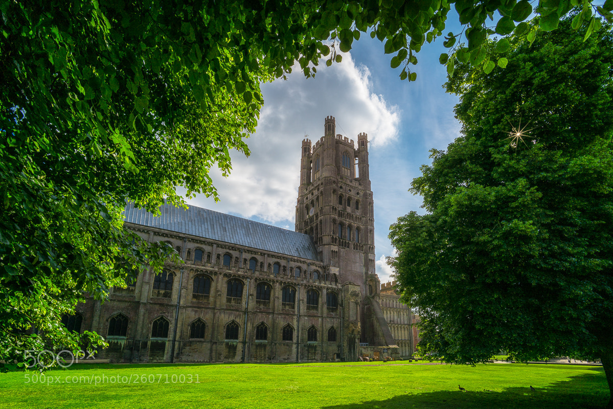 Sony a7R II sample photo. Framed tower photography