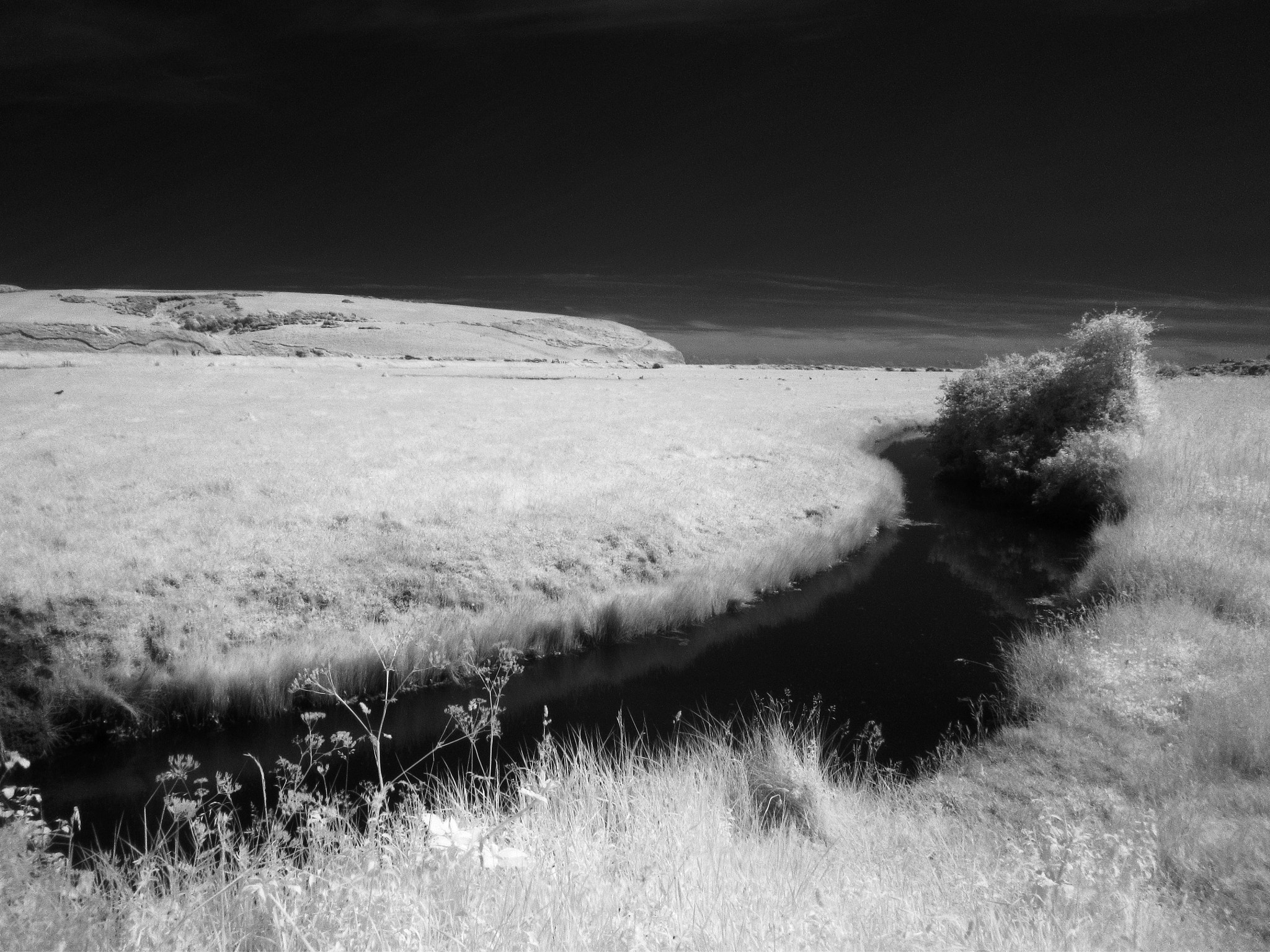 Canon PowerShot SX210 IS sample photo. Cuckmere valley photography