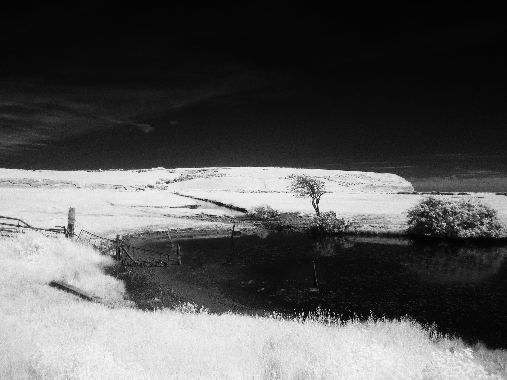 Canon PowerShot SX210 IS sample photo. Cuckmere valley pond photography