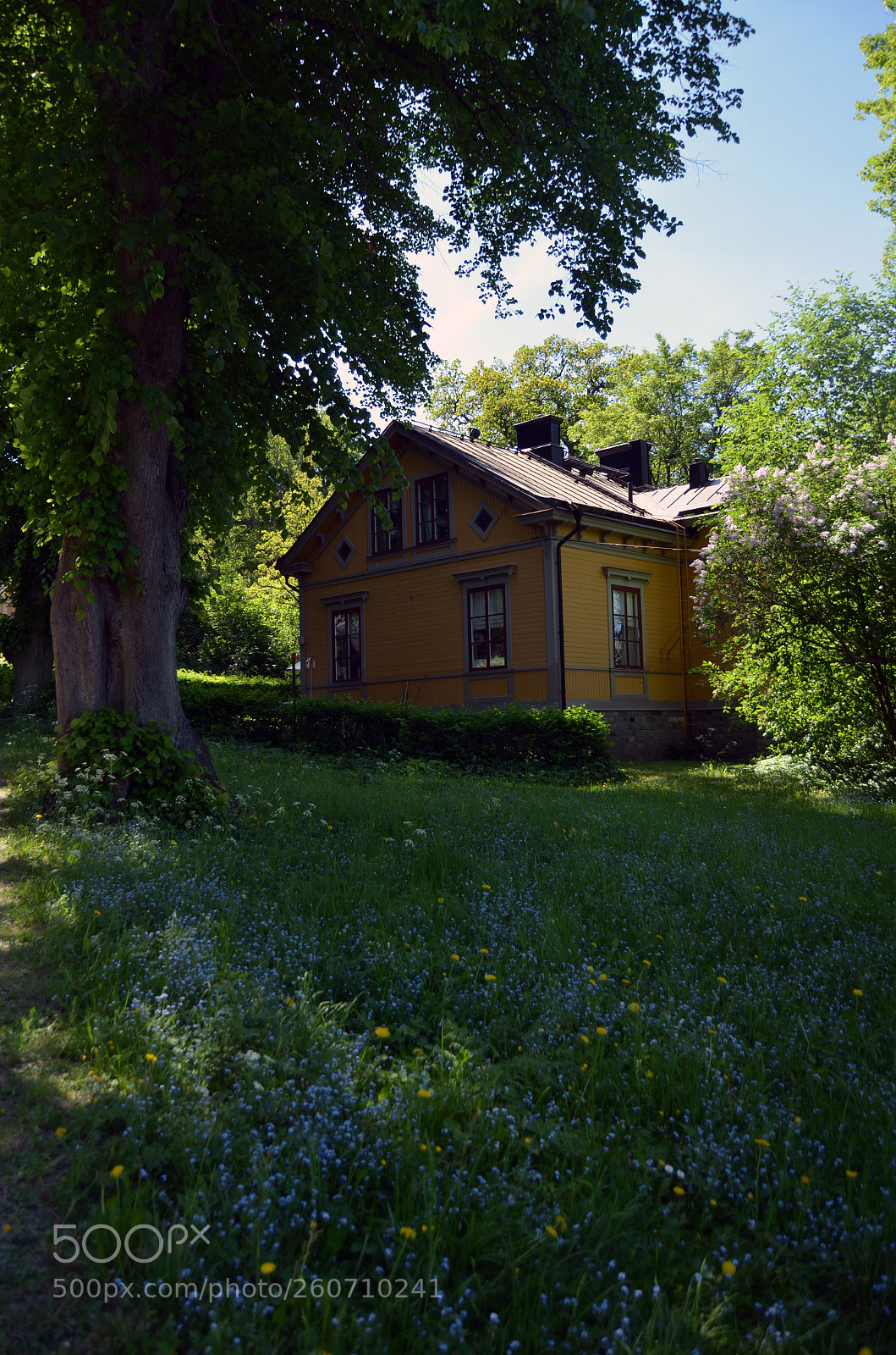 Nikon D5100 sample photo. Rosendals trädgård photography