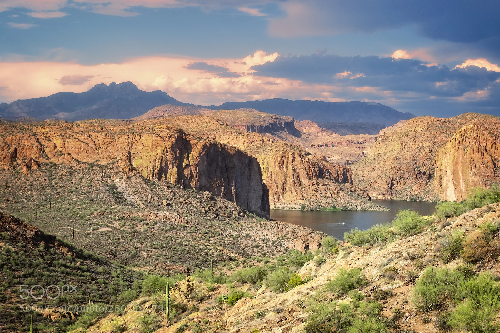 Canon EOS 7D Mark II sample photo. A hot arizona day photography