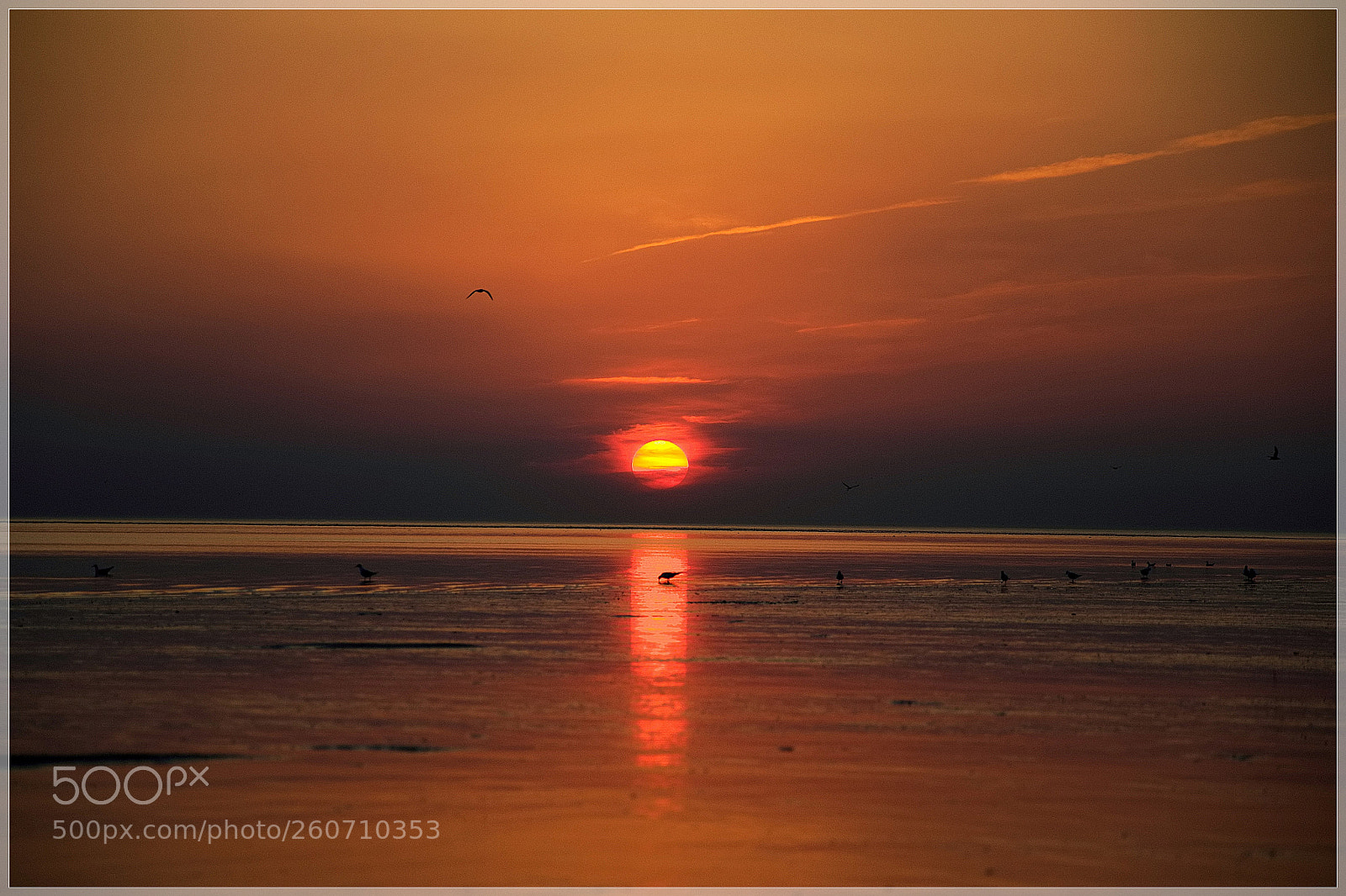 Nikon D3100 sample photo. Sunset photography