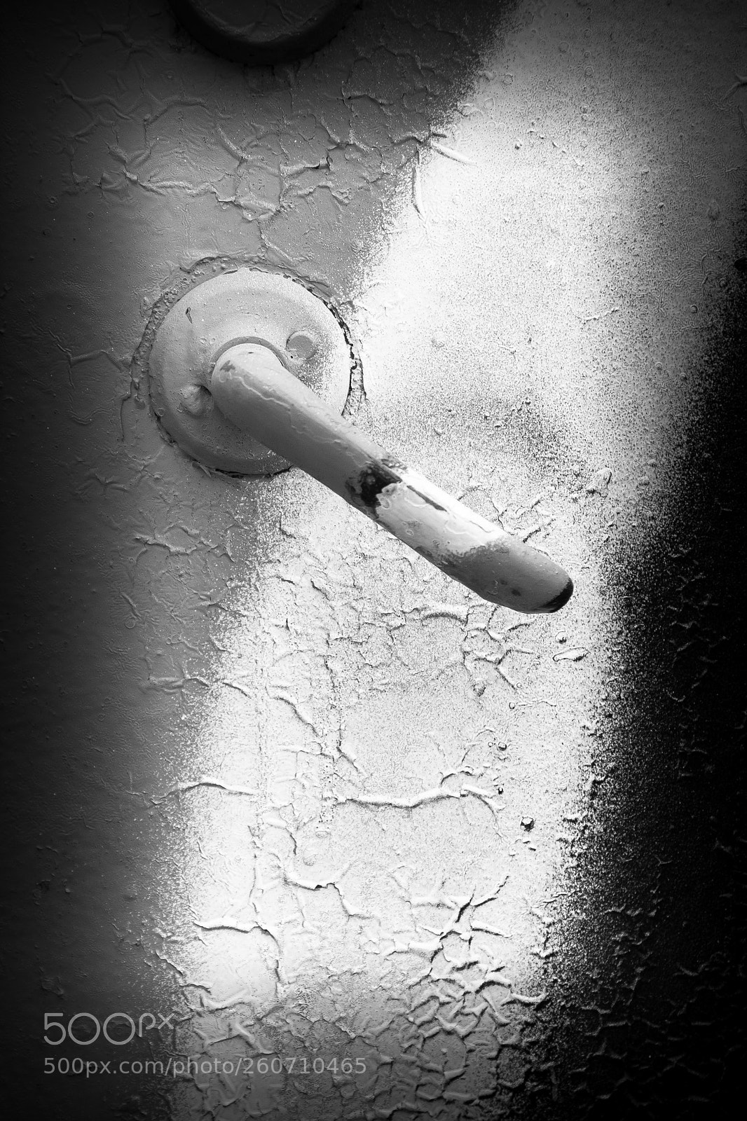 Canon EOS 5D Mark IV sample photo. The door handle photography
