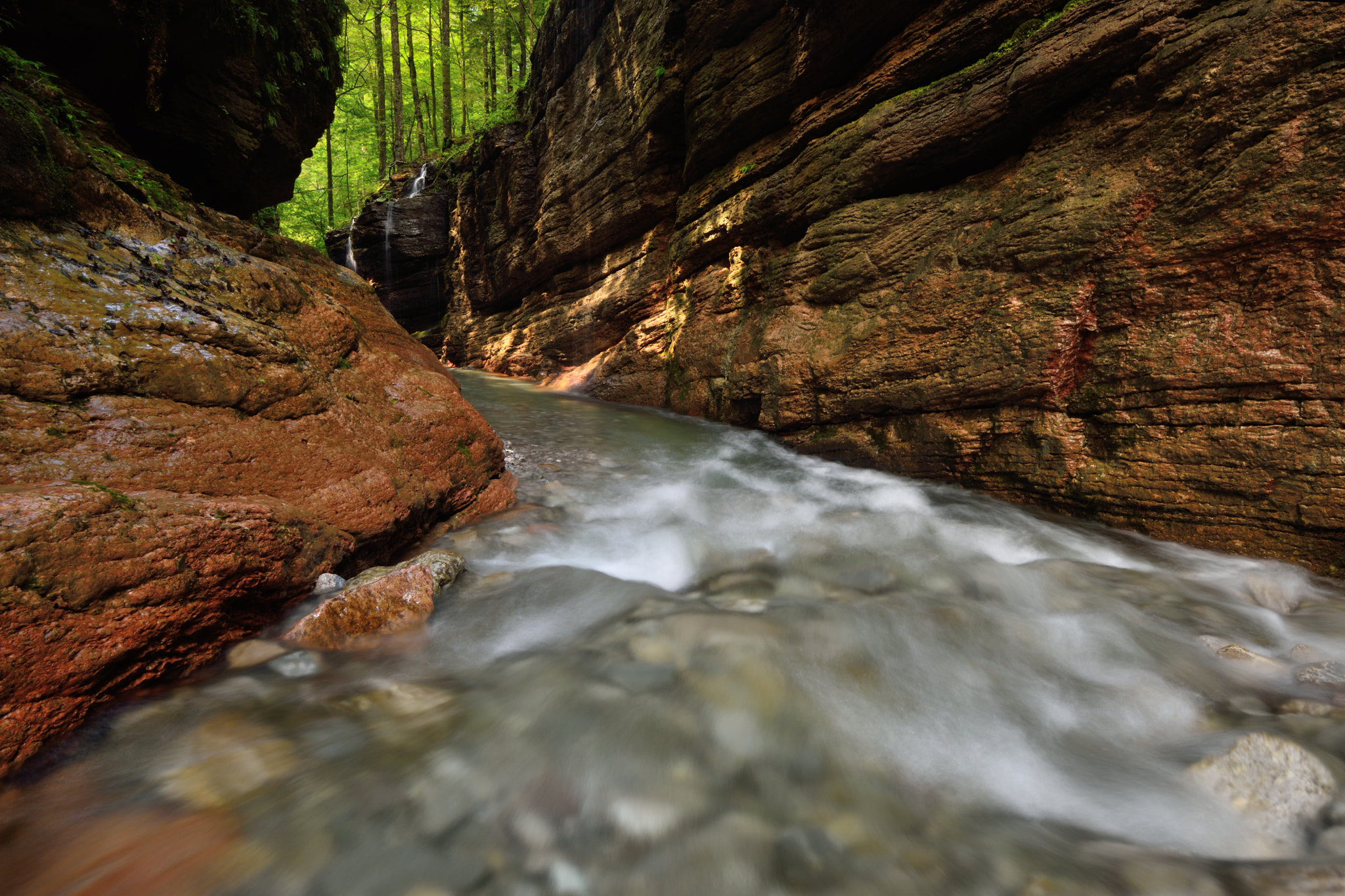 Nikon D810 + Nikon AF-S Nikkor 16-35mm F4G ED VR sample photo. Red - white - green photography