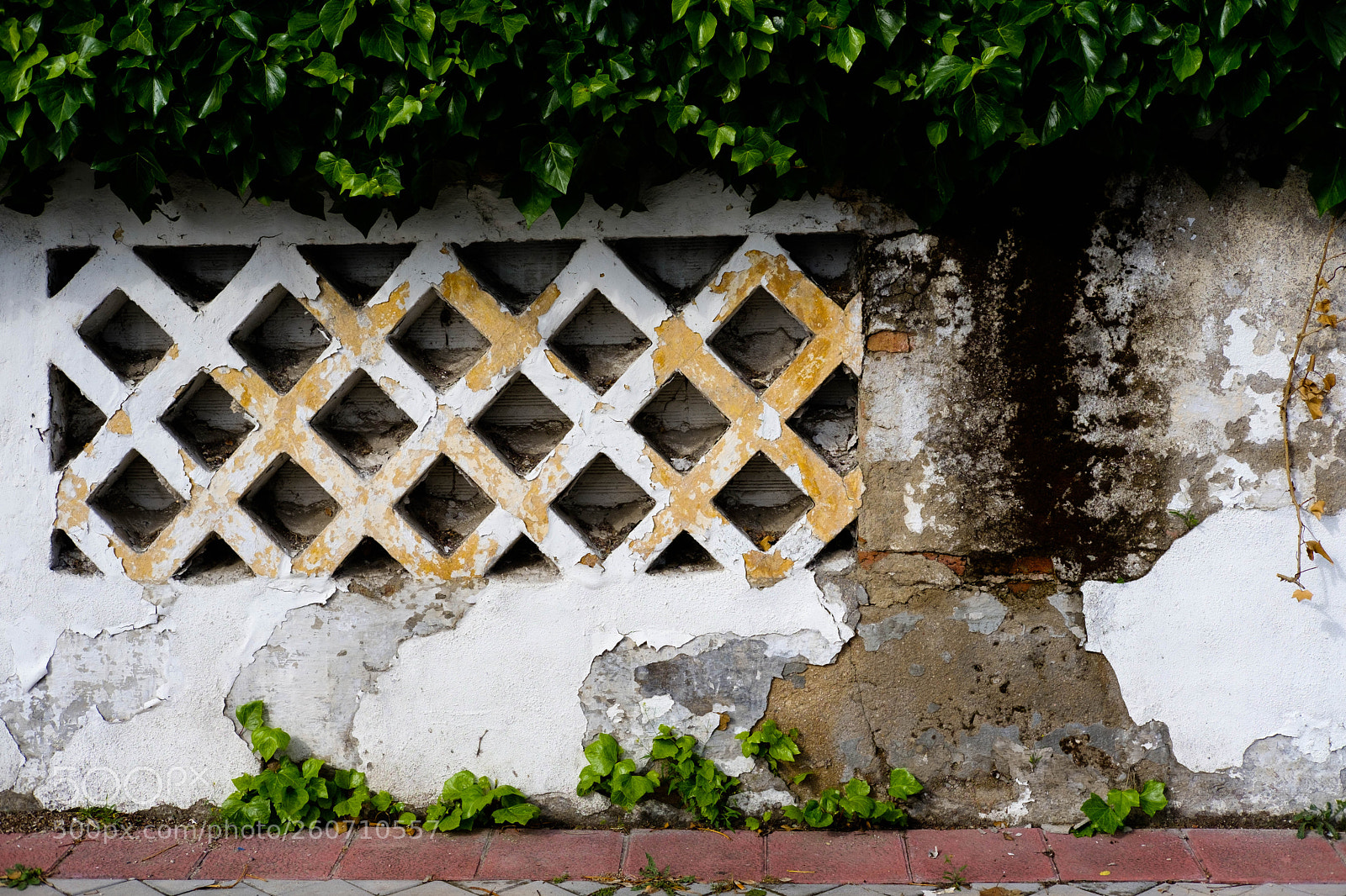 Fujifilm X-Pro2 sample photo. Paredes, vallas y vegetaci photography