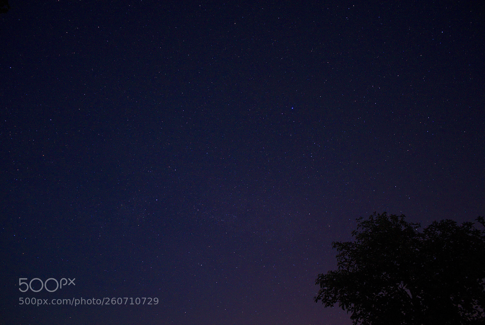 Sony a7 II sample photo. Sparkling dark night photography