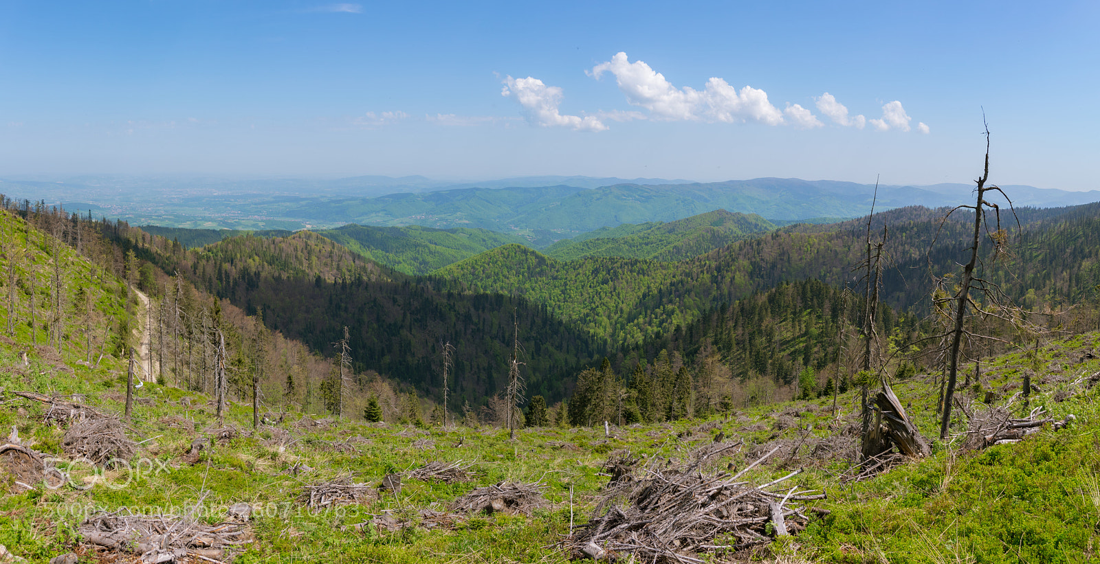 Nikon D5300 sample photo. Pieniny <3 photography