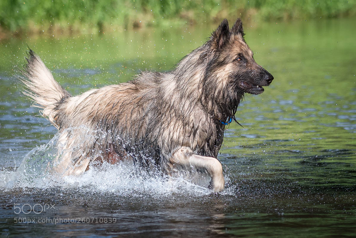 Nikon D750 sample photo. Wet feet again photography