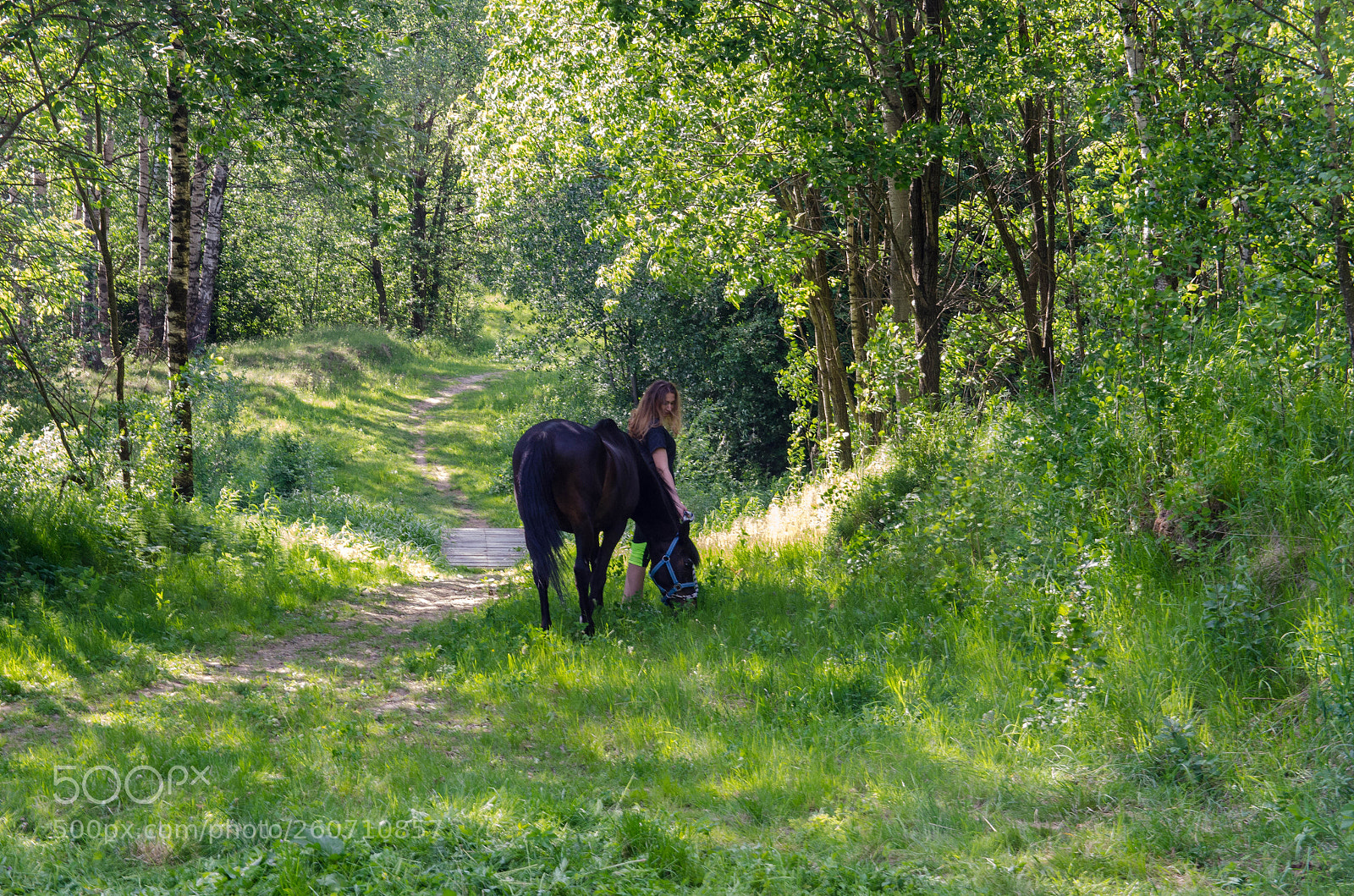 Nikon D5100 sample photo. Seclusion photography