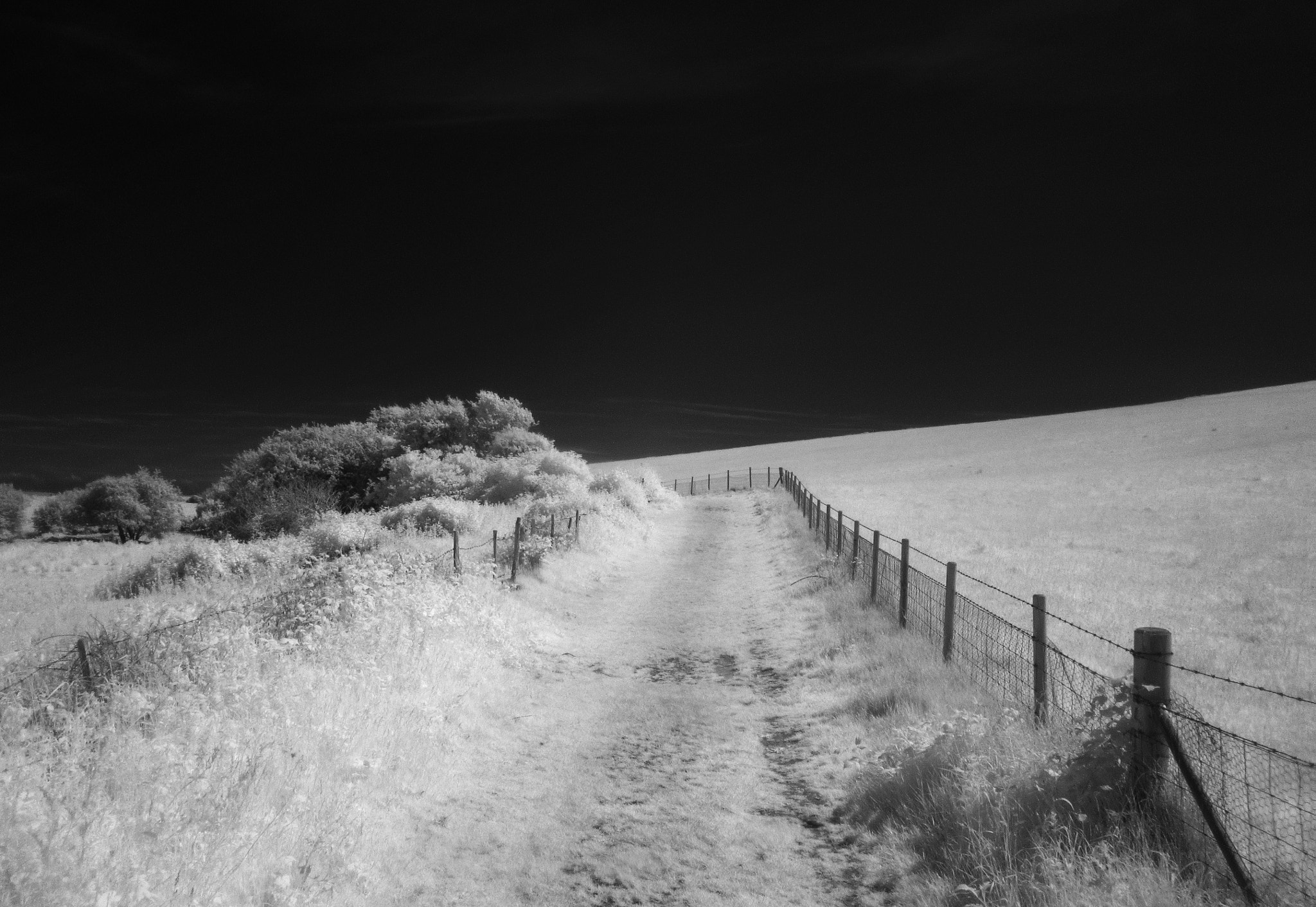 Canon PowerShot SX210 IS sample photo. Cuckmere valley photography