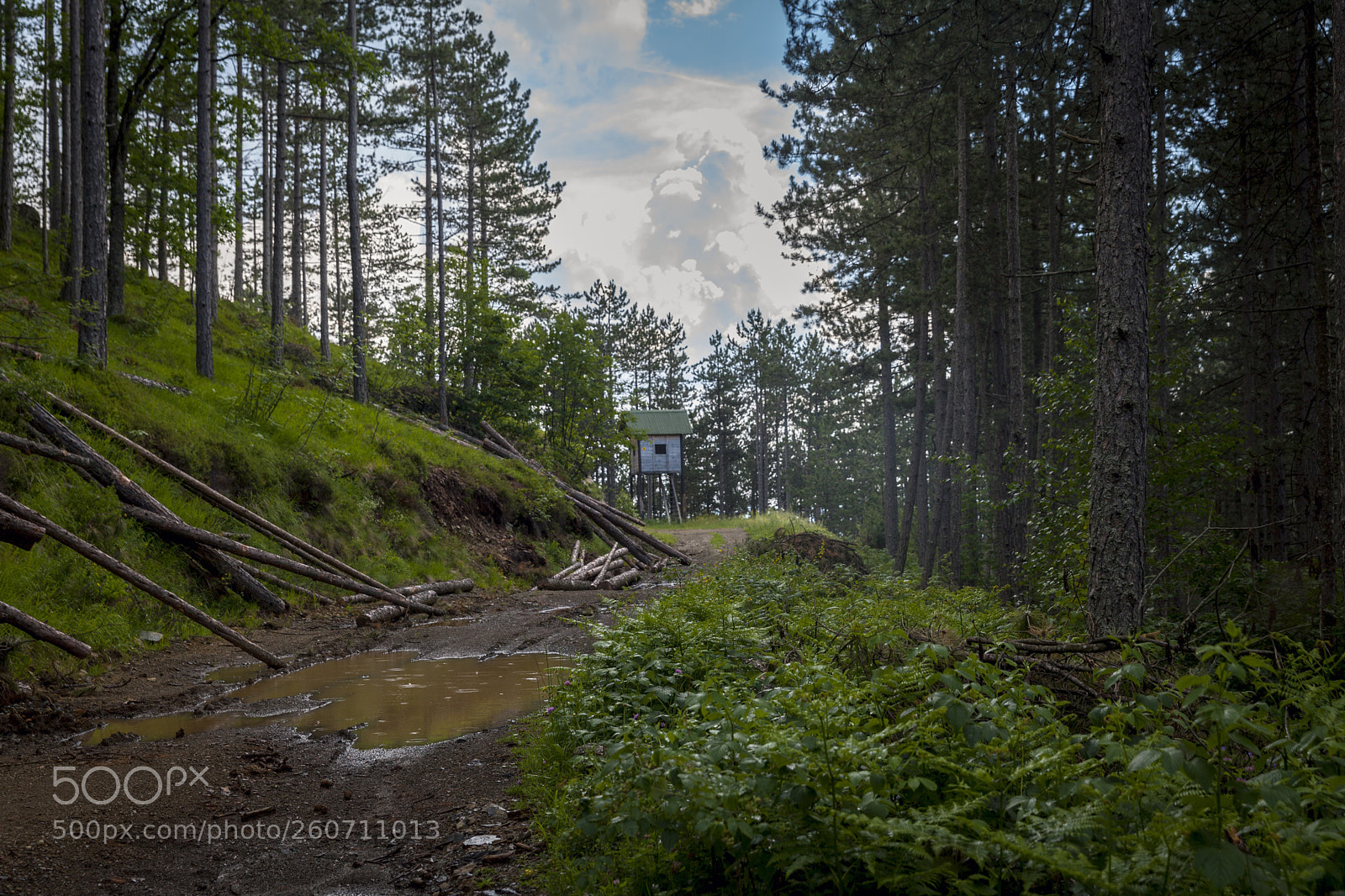 Canon EOS 5D Mark II sample photo. Wooden hunting lodge in photography