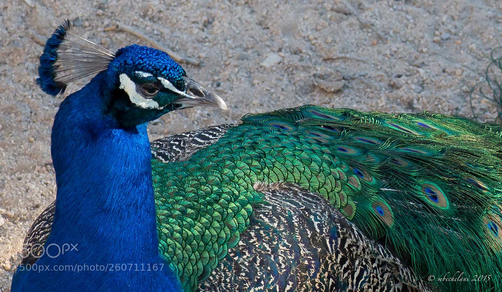 Nikon D800 sample photo. Ecafaced o photography