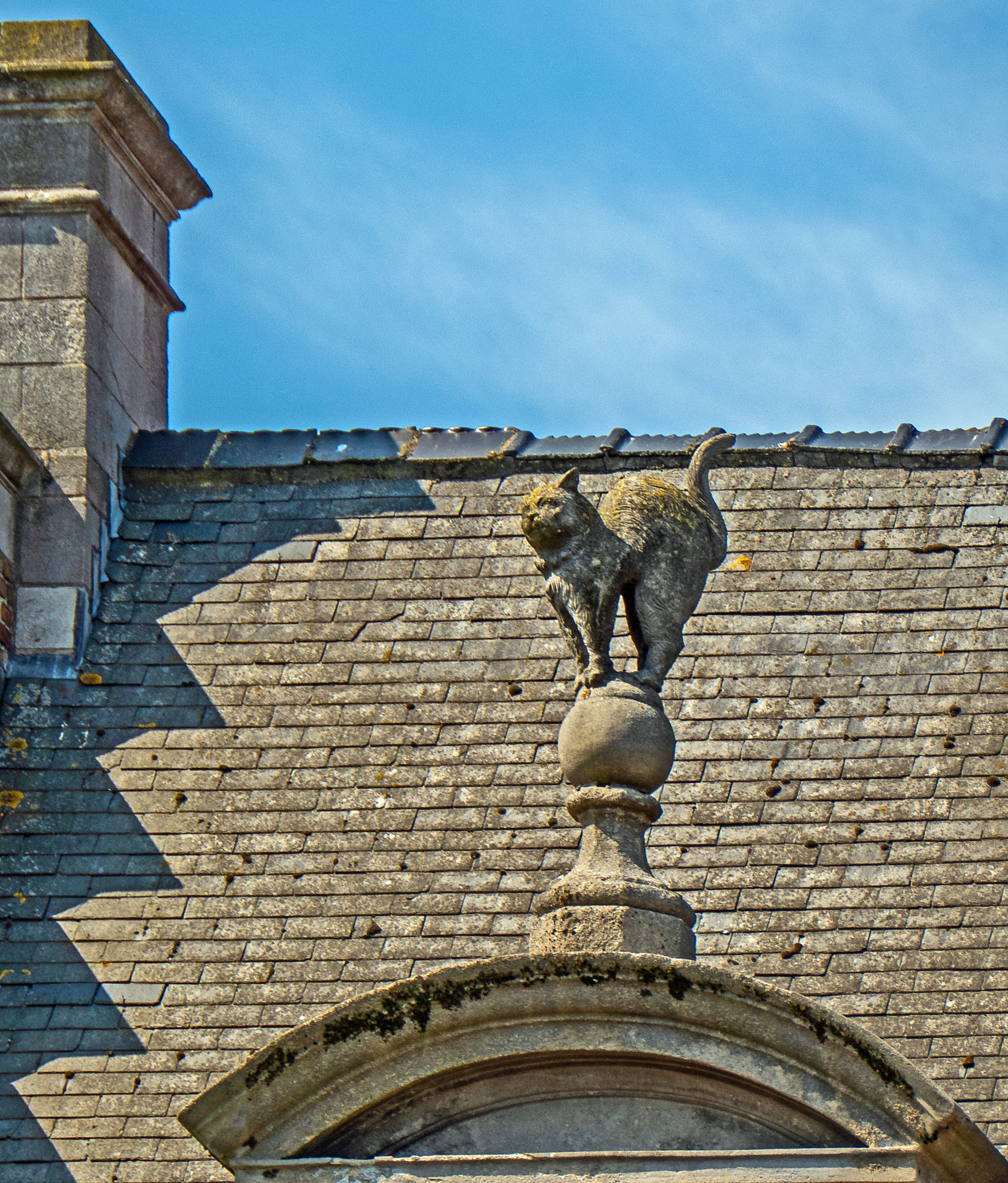 Panasonic DC-TZ200 sample photo. Cat on the roof building old market square bruges photography