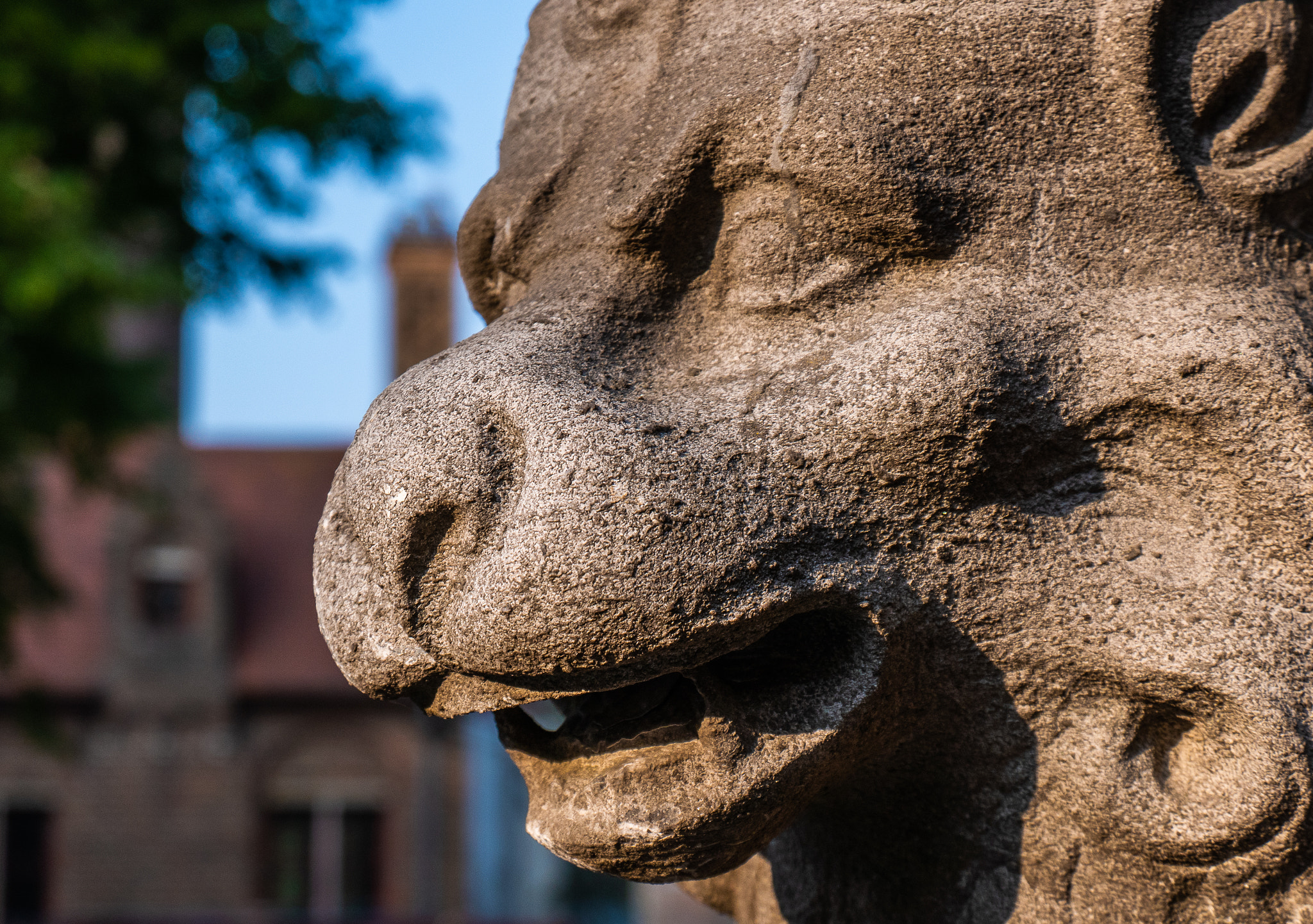 Panasonic DC-TZ200 sample photo. Close up ( stone bear figure) ( bruges) photography