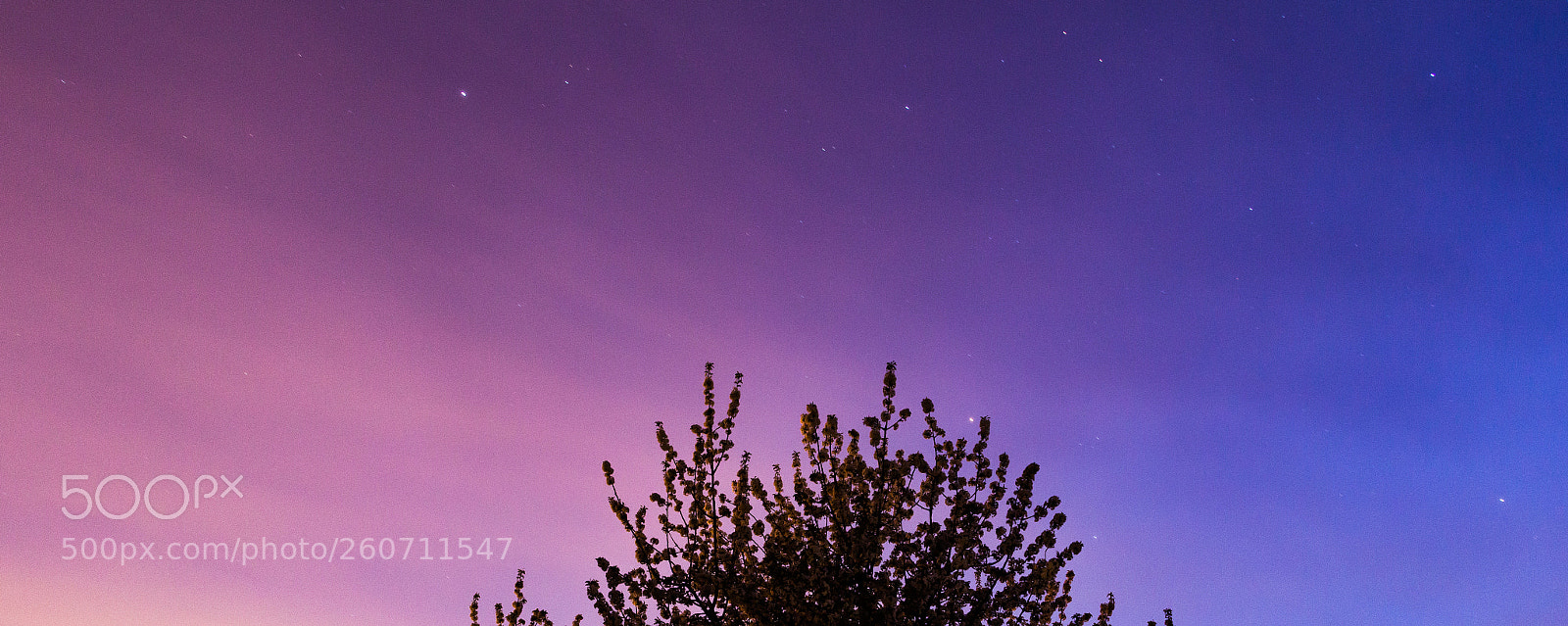 Canon EOS 700D (EOS Rebel T5i / EOS Kiss X7i) sample photo. Fading sky photography