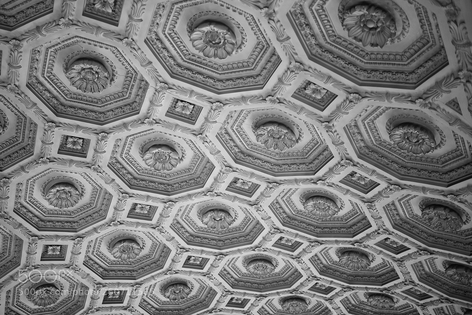 Nikon D610 sample photo. Vittorio emanuele ii flores photography