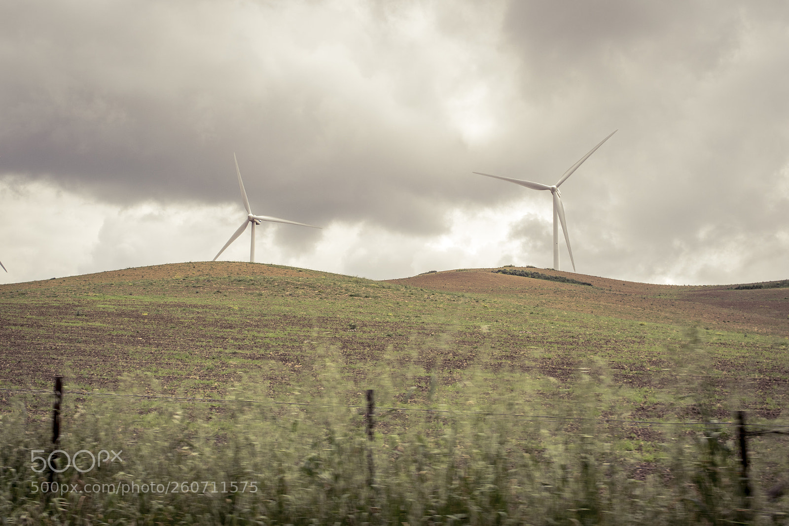 Nikon D5300 sample photo. Wind_157 photography