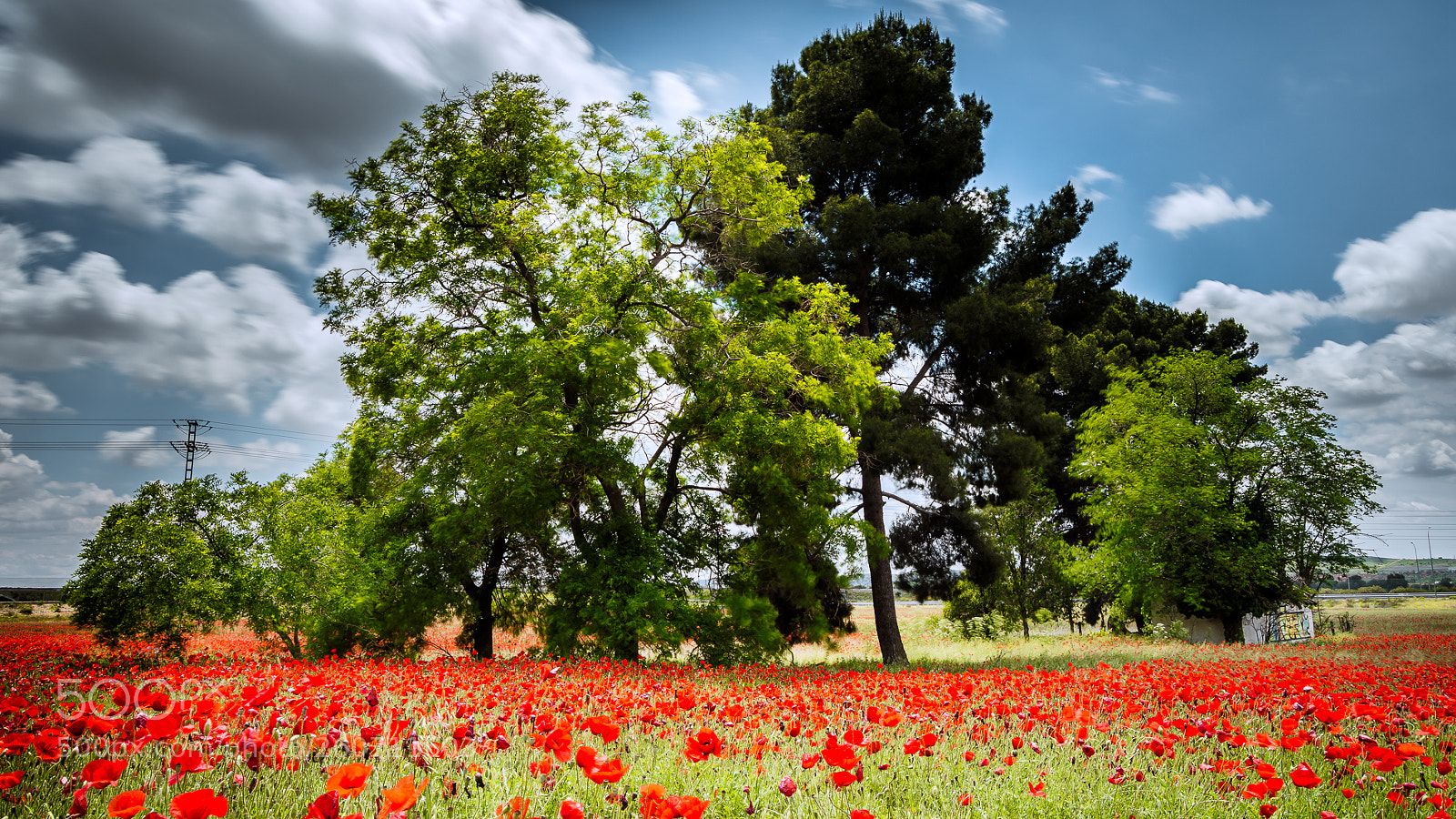 Nikon D3200 sample photo. Tree mountain photography
