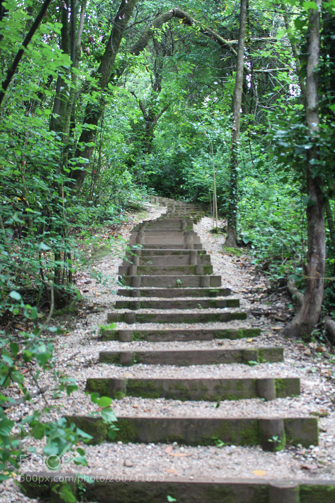 Canon EOS 500D (EOS Rebel T1i / EOS Kiss X3) sample photo. Stairs in a fairyland photography