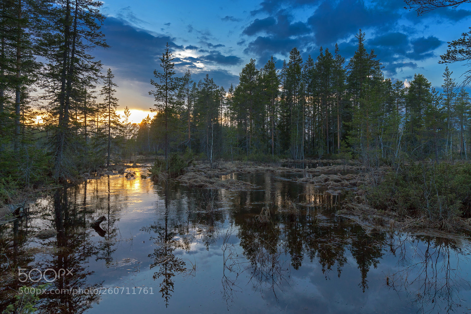 Canon EOS 6D Mark II sample photo. Abendstimmung im moor photography