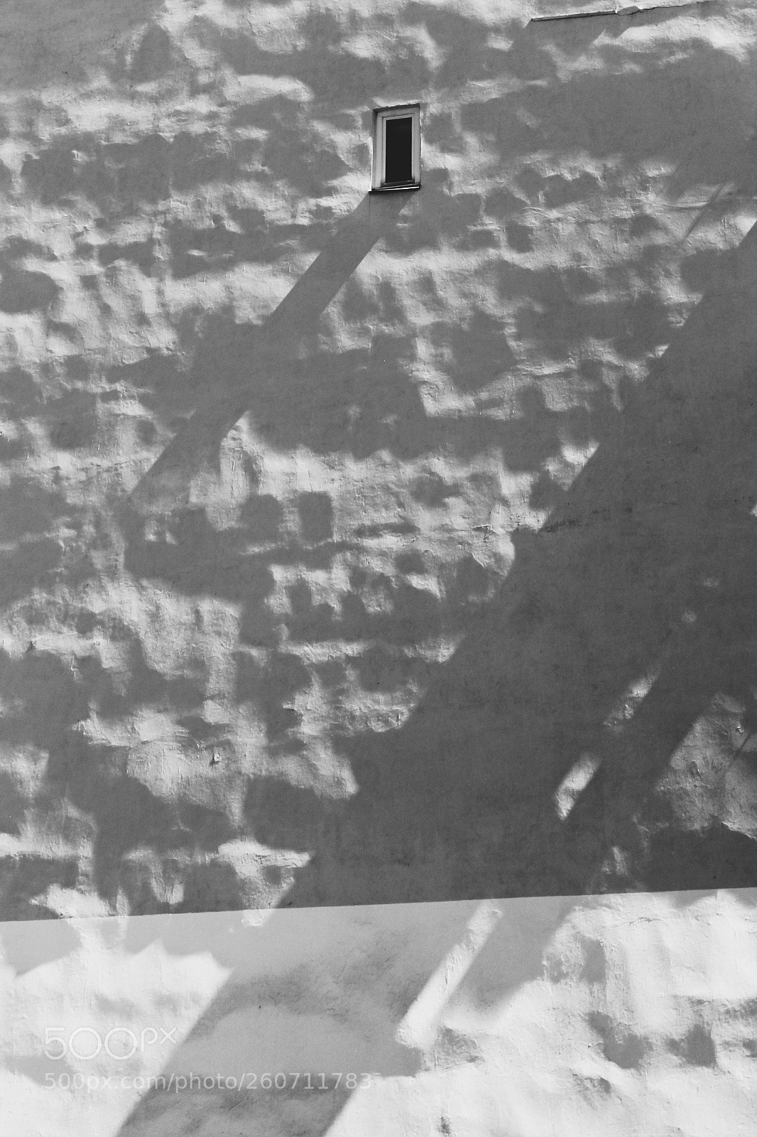 Canon EOS 1300D (EOS Rebel T6 / EOS Kiss X80) sample photo. Wall photography