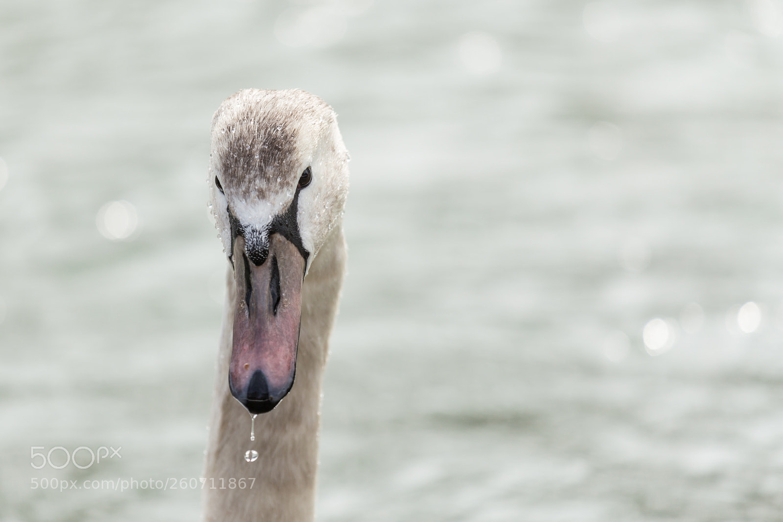 Canon EOS 6D sample photo. 2018 munich photography