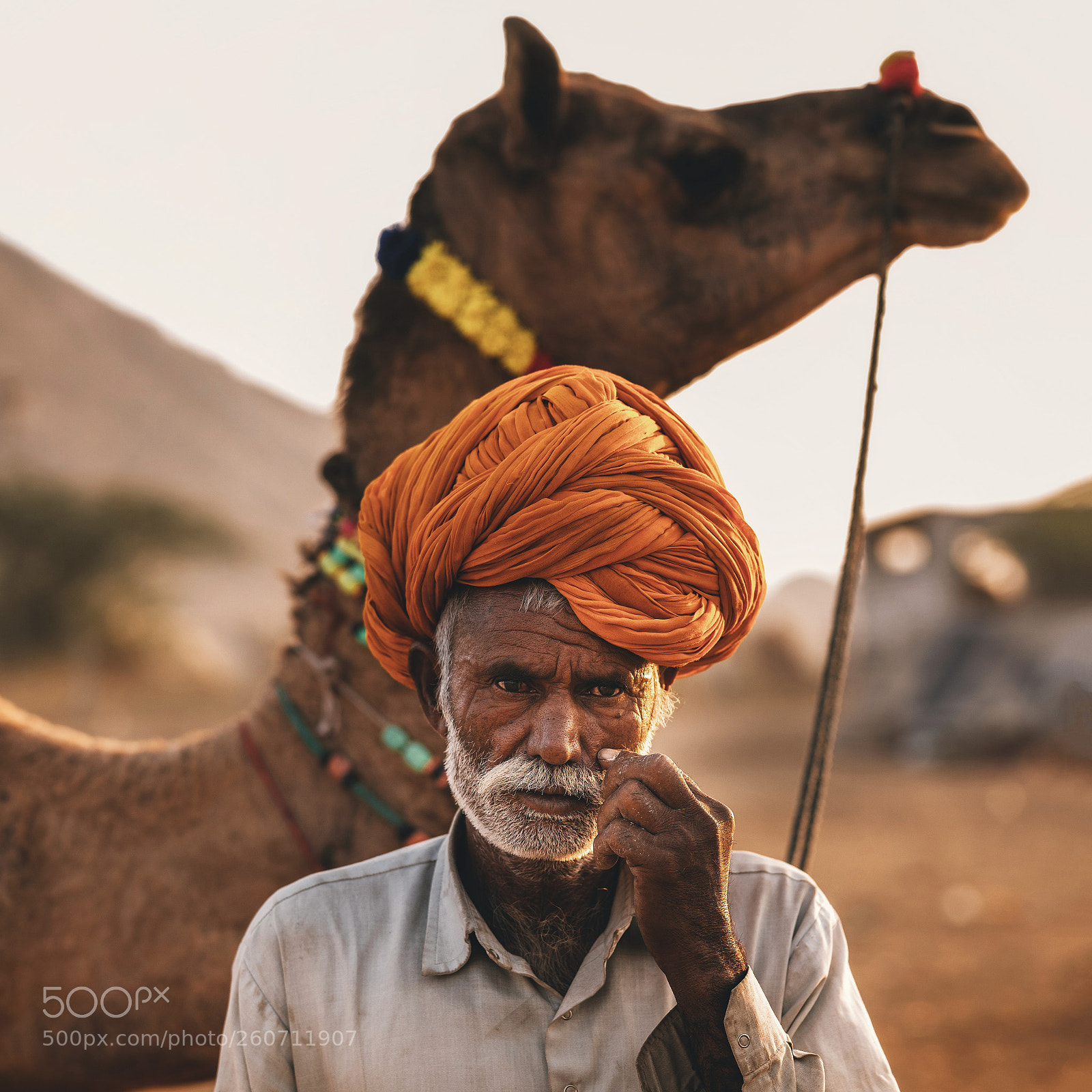 Nikon D850 sample photo. Camel man photography